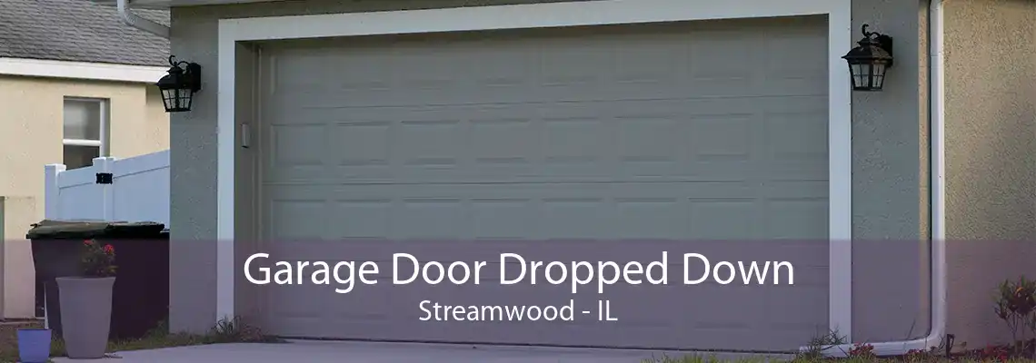 Garage Door Dropped Down Streamwood - IL