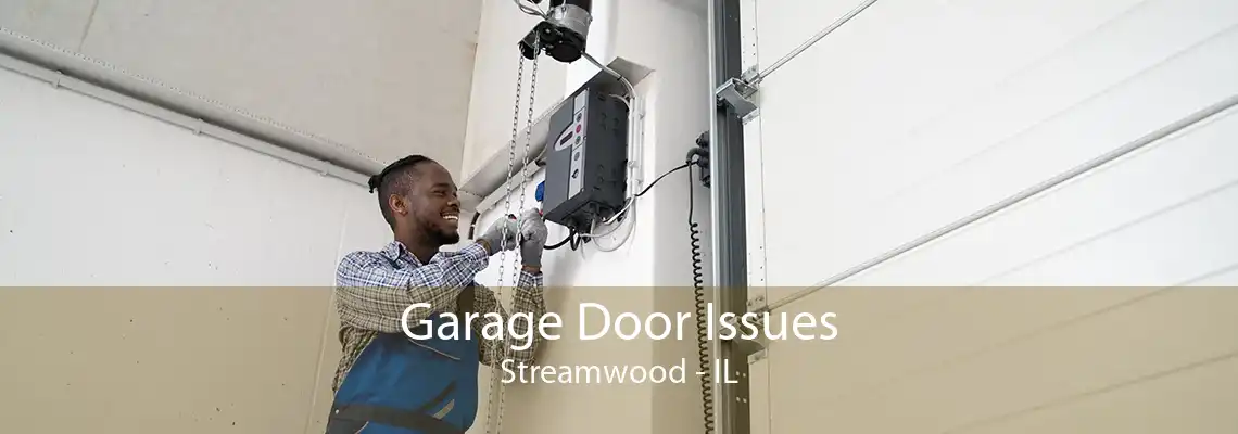 Garage Door Issues Streamwood - IL