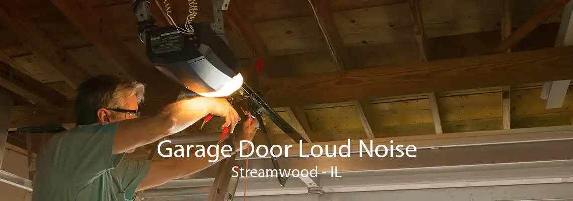 Garage Door Loud Noise Streamwood - IL