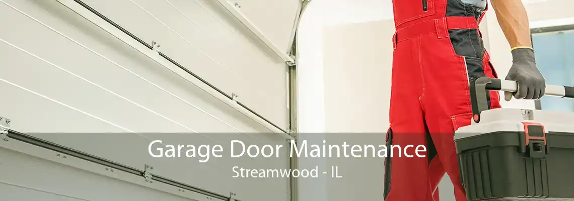 Garage Door Maintenance Streamwood - IL