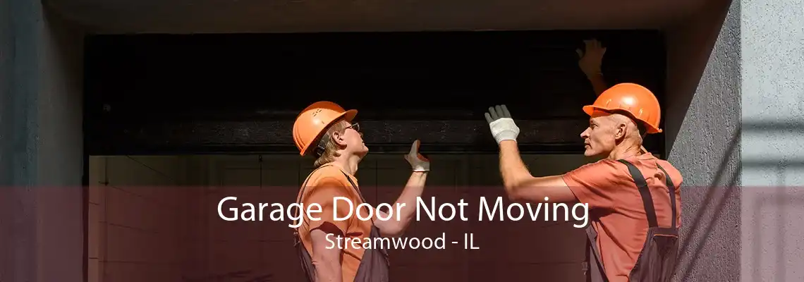 Garage Door Not Moving Streamwood - IL