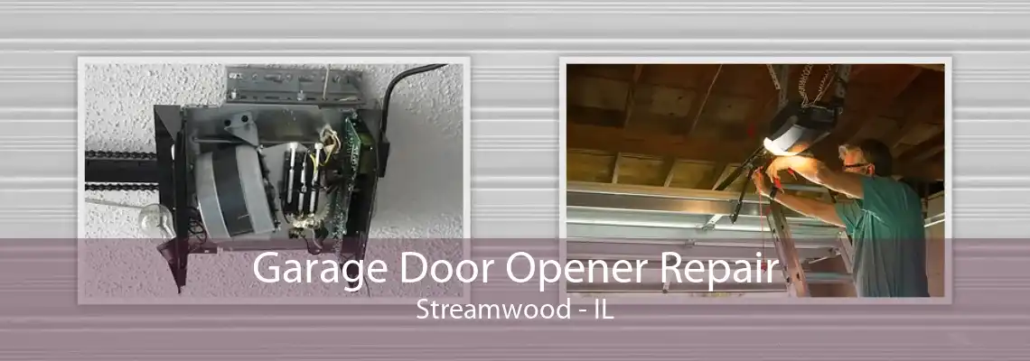 Garage Door Opener Repair Streamwood - IL