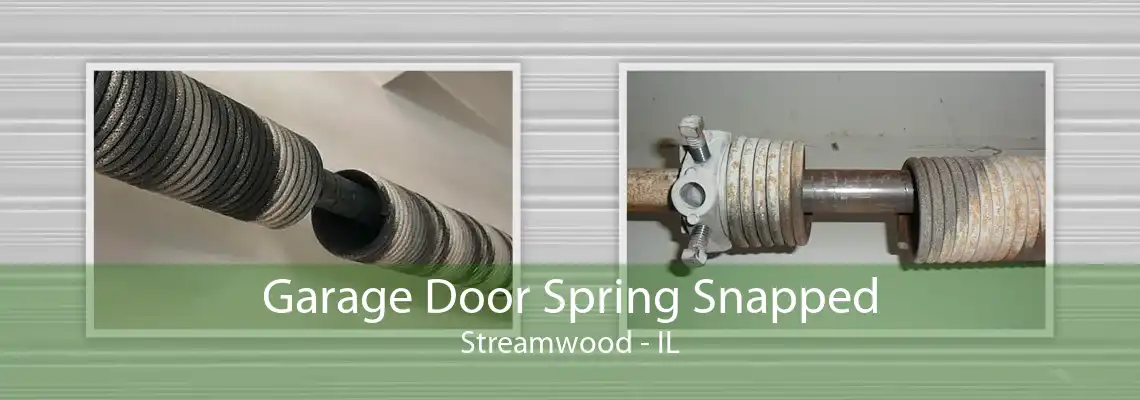 Garage Door Spring Snapped Streamwood - IL