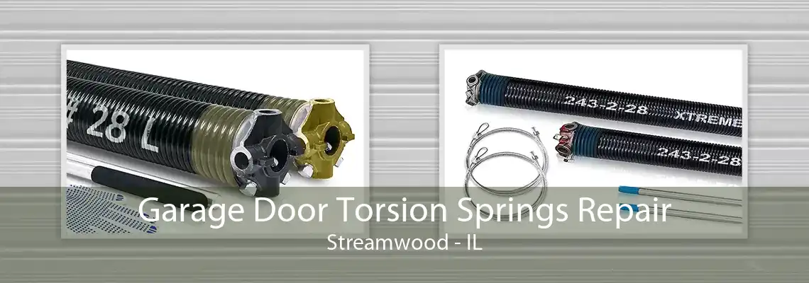 Garage Door Torsion Springs Repair Streamwood - IL