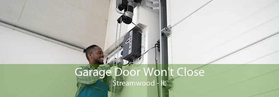 Garage Door Won't Close Streamwood - IL