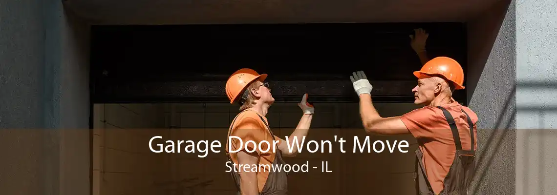 Garage Door Won't Move Streamwood - IL