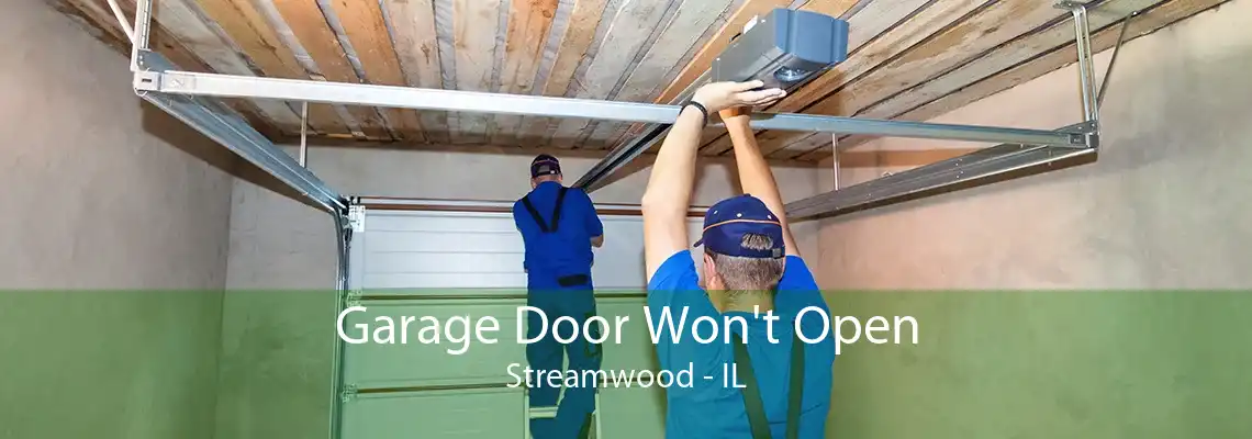 Garage Door Won't Open Streamwood - IL