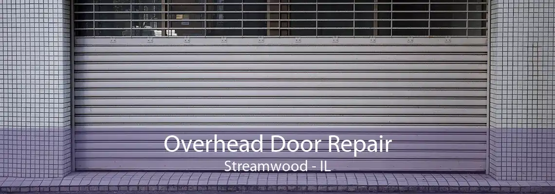 Overhead Door Repair Streamwood - IL